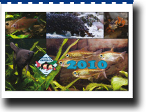 kalender 2009
