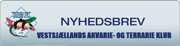 nyhedsbrev vatk top