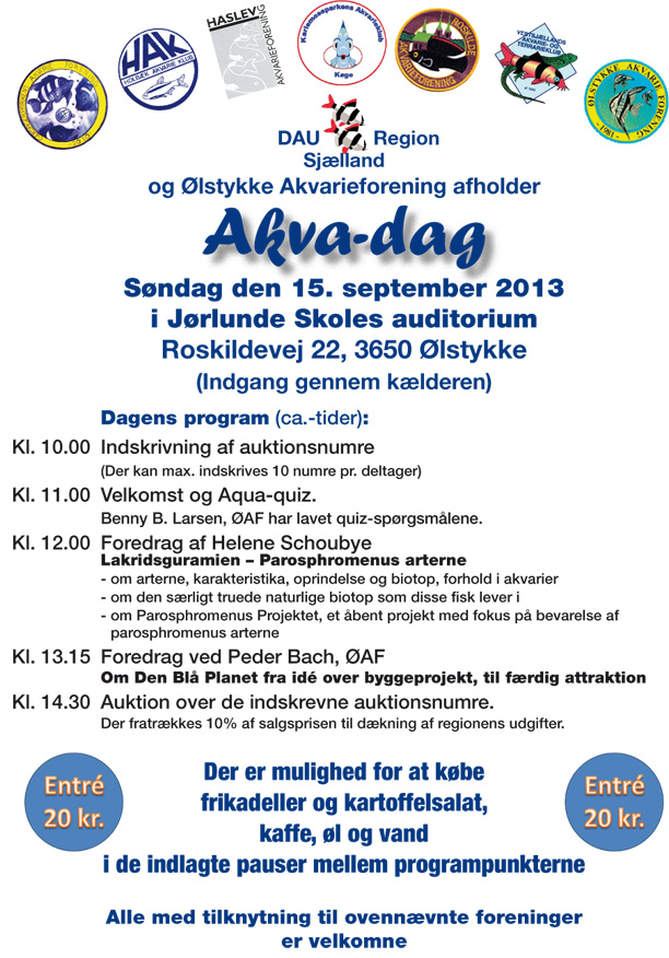 Akvadag_2013