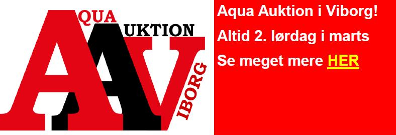 aqua auktion viborg