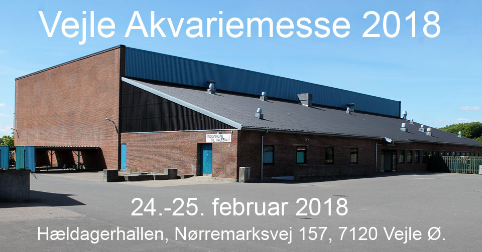 2018 02 24 Vejle Akvariemesse