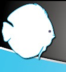 akvariemesse-logo