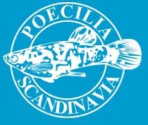 poecilia logo