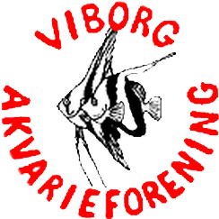 viborg-logo